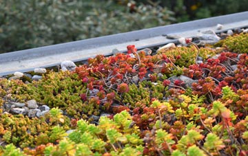 the cost of Bushton green roof installation